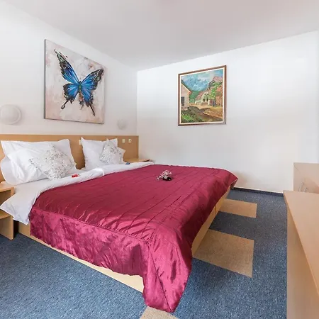 博因吉斯克杰兹洛酒店 3* 博希尼