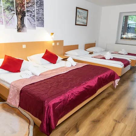 Center Bohinjsko Jezero Hotel